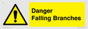 danger-falling-branches~